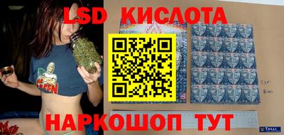 spice Новодвинск