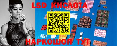 spice Новодвинск