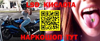 spice Новодвинск