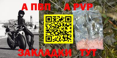 spice Новодвинск