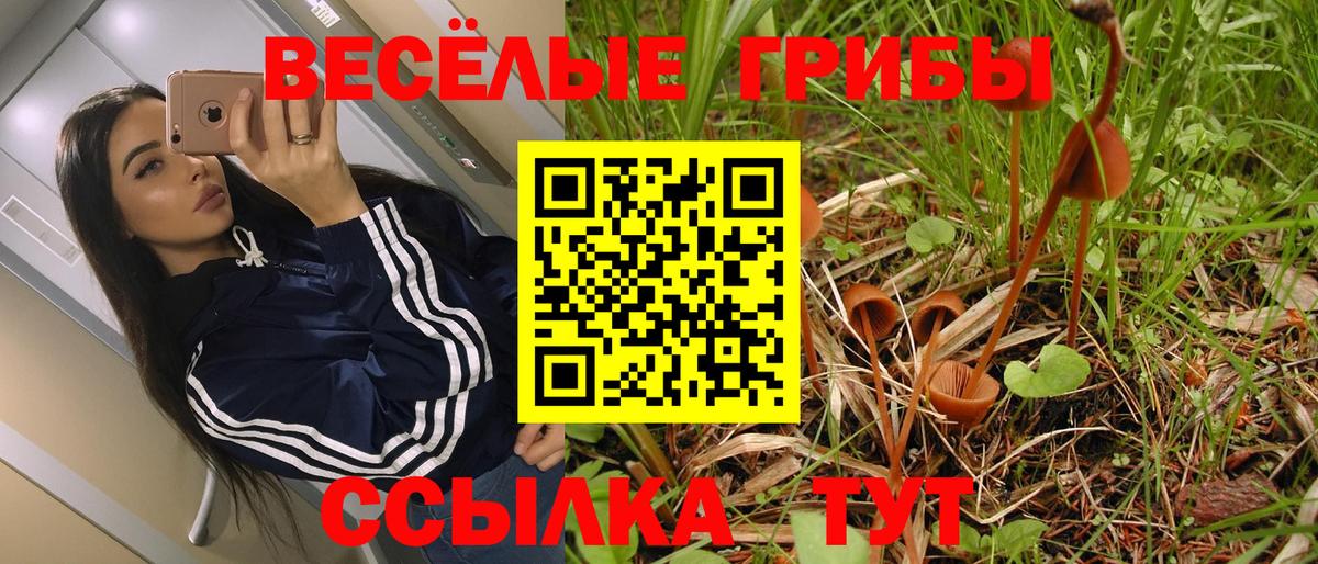 Галлюциногенные грибы Cubensis  Псилоцибиновые грибы MAGIC MUSHROOMS  Вход с VPN  купить наркотик  Павлово 